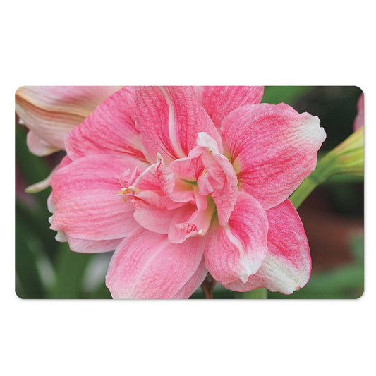 Pink Amaryllis Print Polyester Doormat