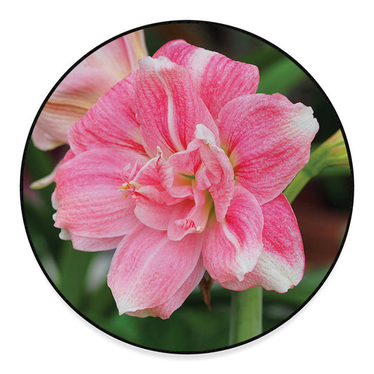 Pink Amaryllis Print Round Floor Mat
