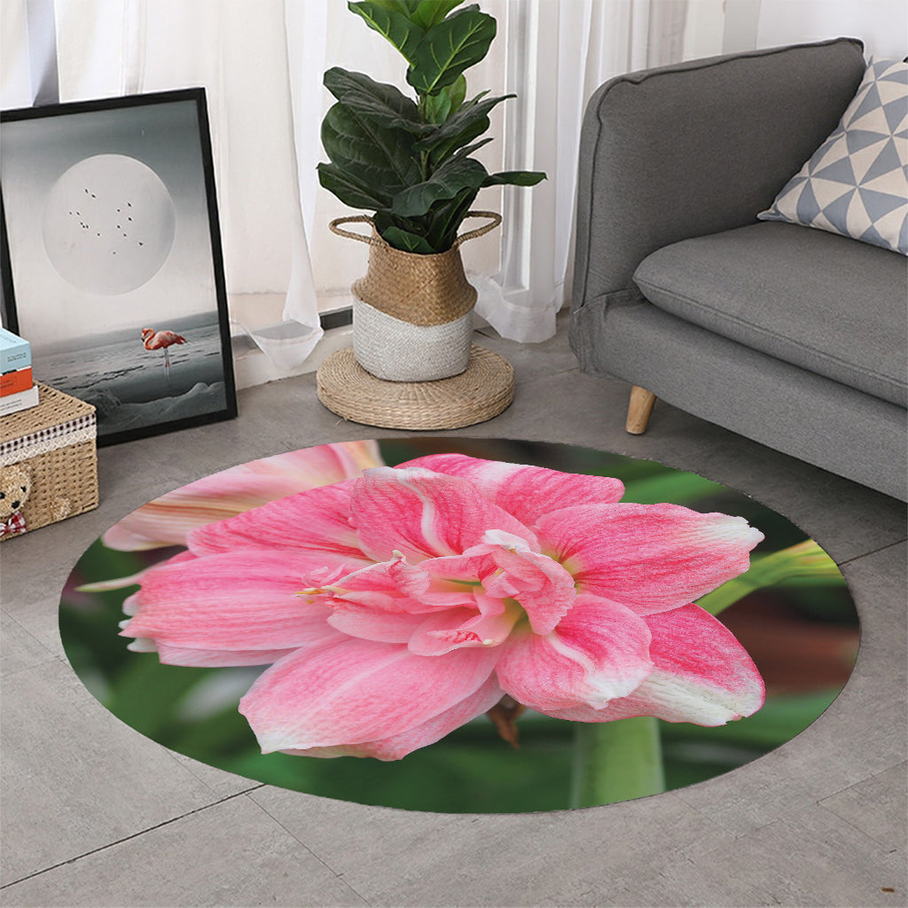 Pink Amaryllis Print Round Rug