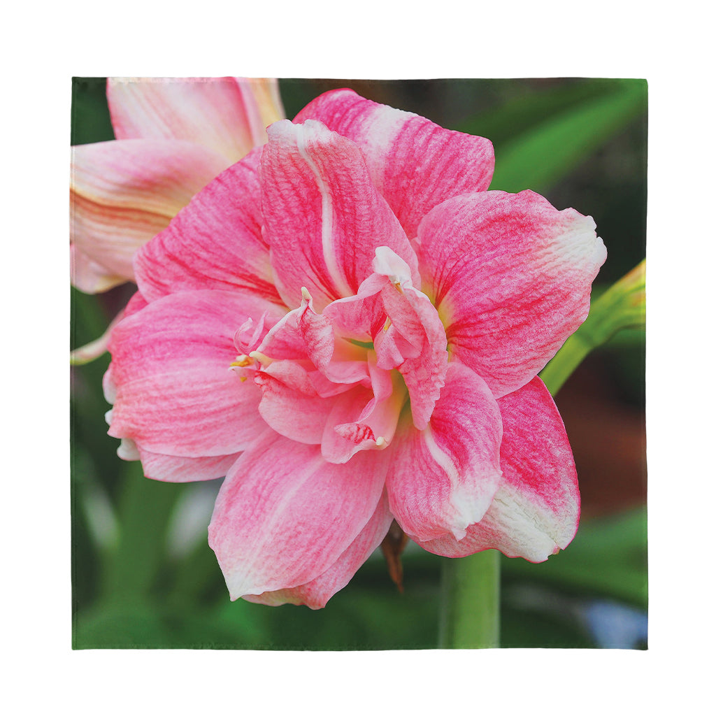 Pink Amaryllis Print Silk Bandana