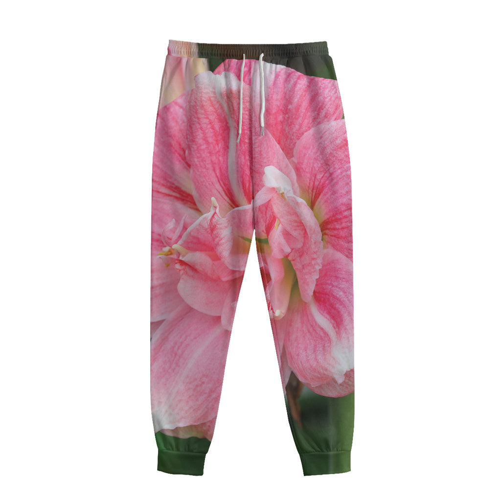 Pink Amaryllis Print Sweatpants