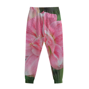 Pink Amaryllis Print Sweatpants