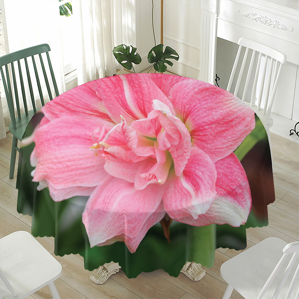 Pink Amaryllis Print Waterproof Round Tablecloth