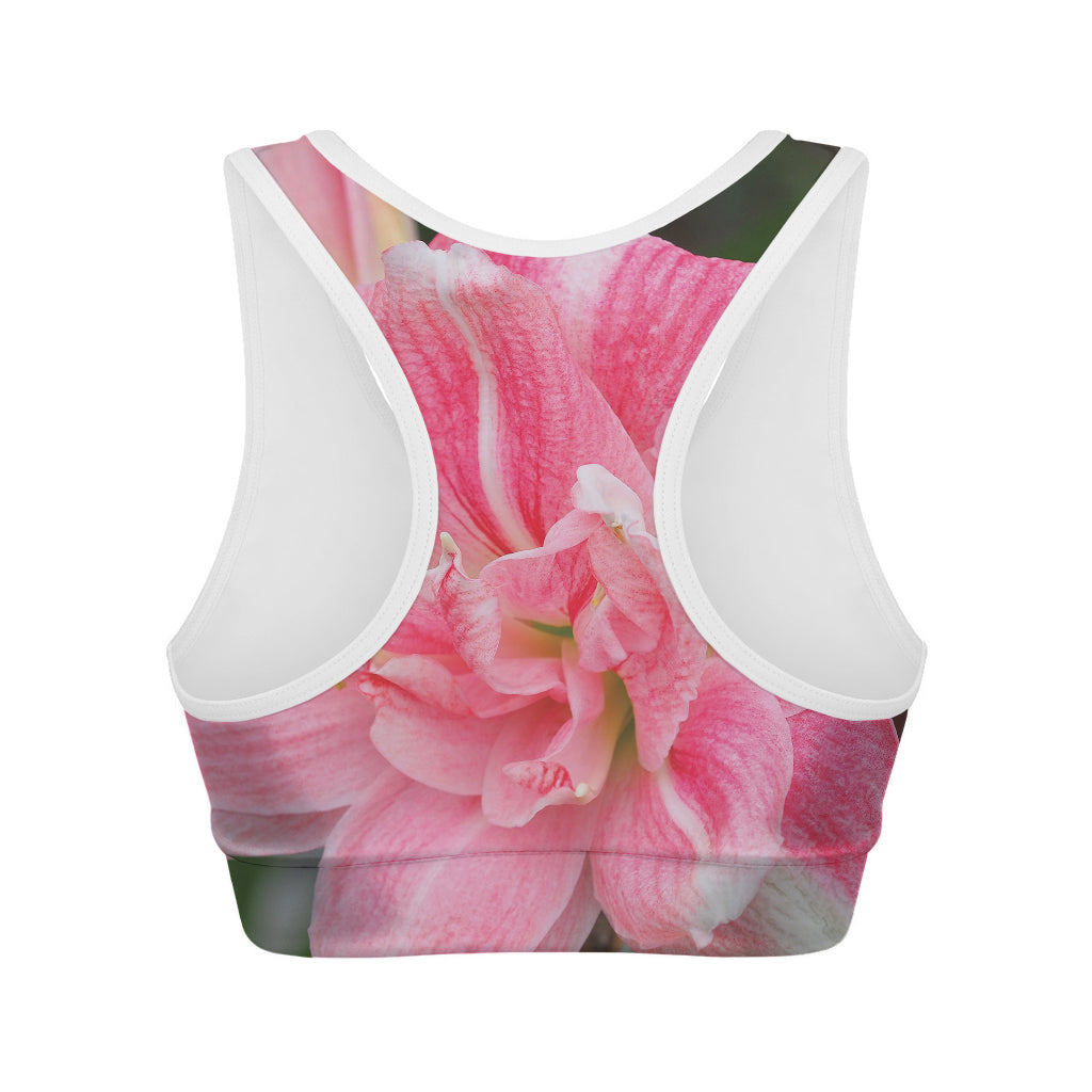 Pink Amaryllis Print Women's Sports Bra