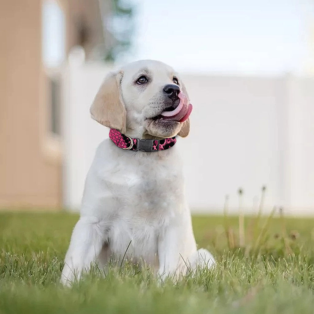 Pink And Black Snakeskin Print Dog Collar