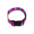 Pink And Blue Chevron Pattern Print Dog Collar