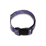 Pink And Purple Japanese Amaryllis Print Dog Collar