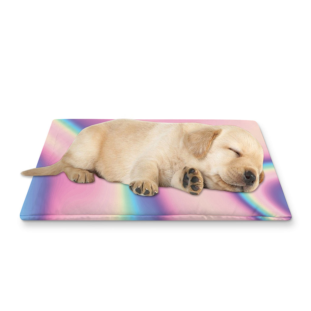 Pink And Teal Holographic Print Pet Cooling Mat Cover