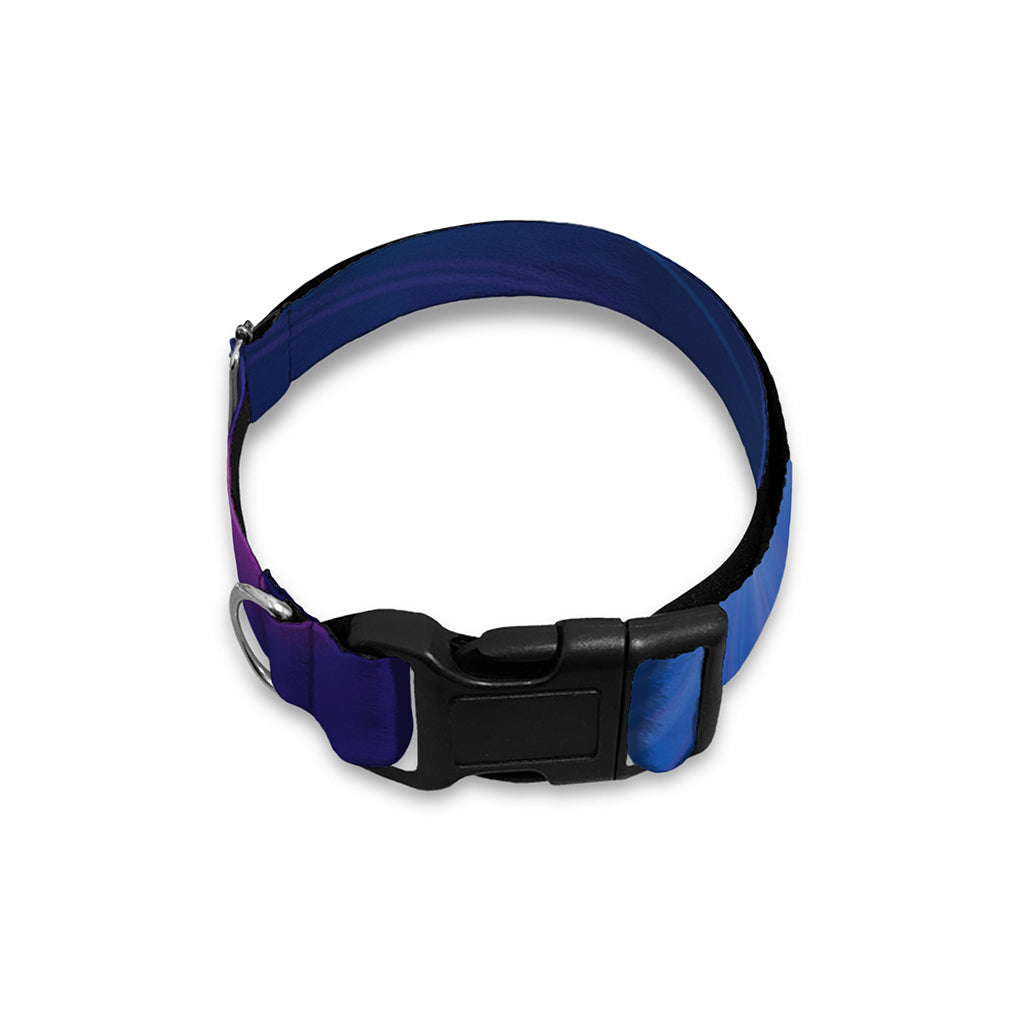 Pink And Teal Lights Speed Print Dog Collar