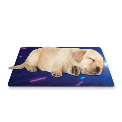 Pink And Teal Lights Speed Print Pet Cooling Mat Cover
