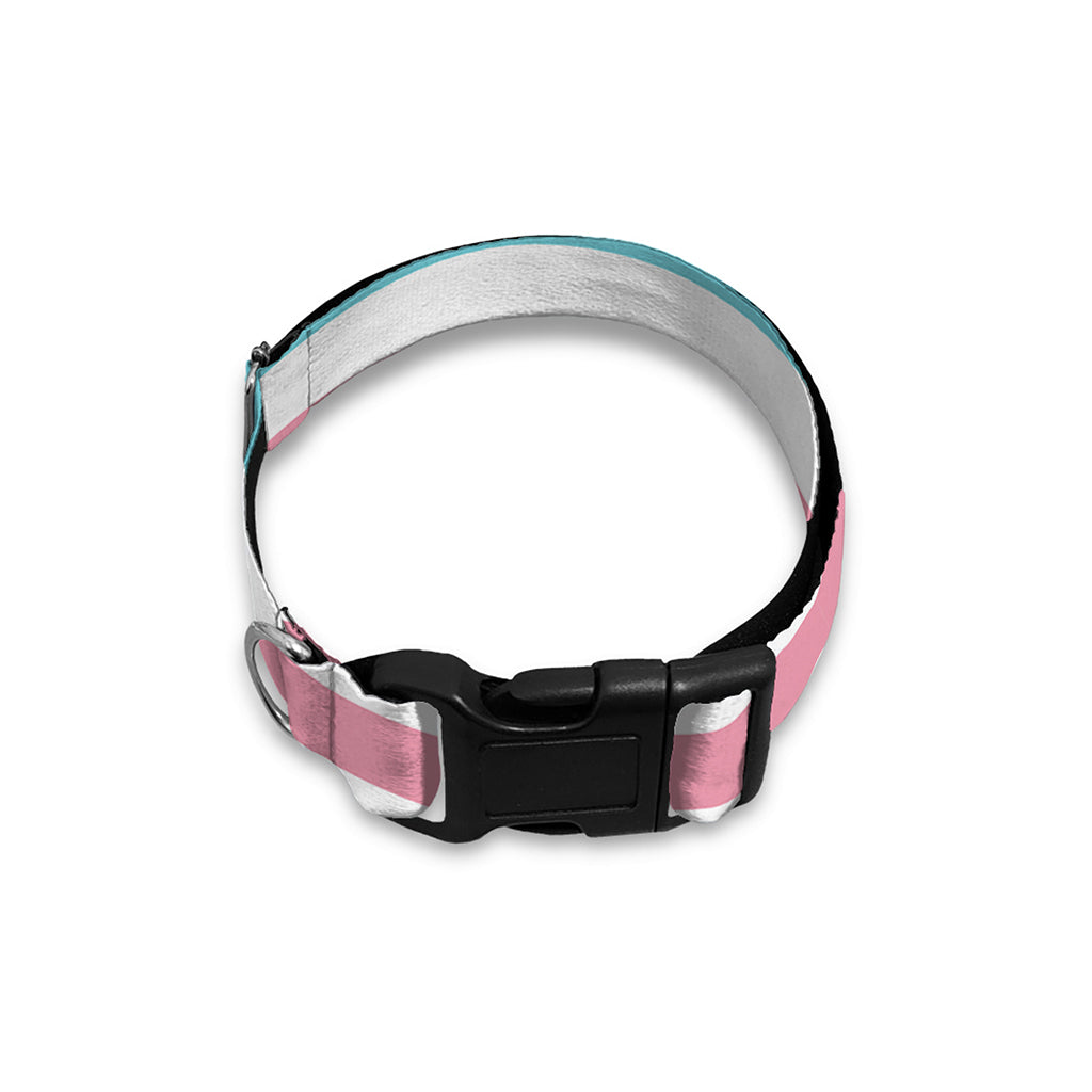 Pink And Teal Striped Pattern Print Dog Collar