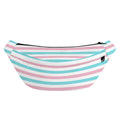 Pink And Teal Striped Pattern Print Fanny Pack