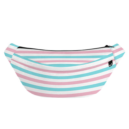 Pink And Teal Striped Pattern Print Fanny Pack