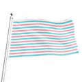 Pink And Teal Striped Pattern Print Flag