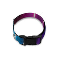 Pink And Teal Tunnel Lights Print Dog Collar