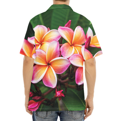 Pink And Yellow Plumeria Flower Print Aloha Shirt