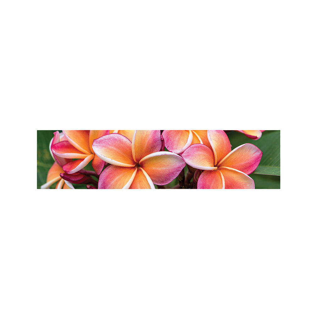 Pink And Yellow Plumeria Flower Print Bed Runner