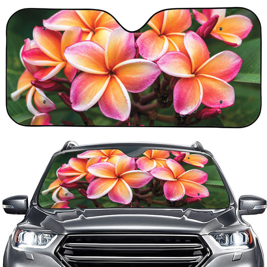 Pink And Yellow Plumeria Flower Print Car Windshield Sun Shade