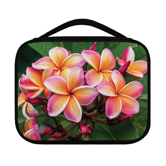 Pink And Yellow Plumeria Flower Print Classic Bible Case