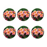 Pink And Yellow Plumeria Flower Print Coaster Set
