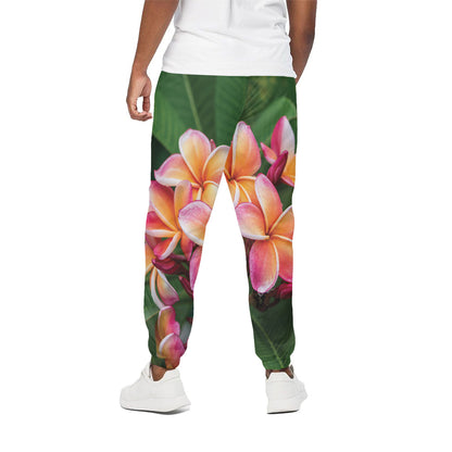 Pink And Yellow Plumeria Flower Print Cotton Pants