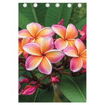 Pink And Yellow Plumeria Flower Print Curtain