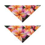 Pink And Yellow Plumeria Flower Print Dog Bandana