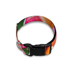 Pink And Yellow Plumeria Flower Print Dog Collar