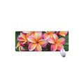 Pink And Yellow Plumeria Flower Print Extended Mouse Pad