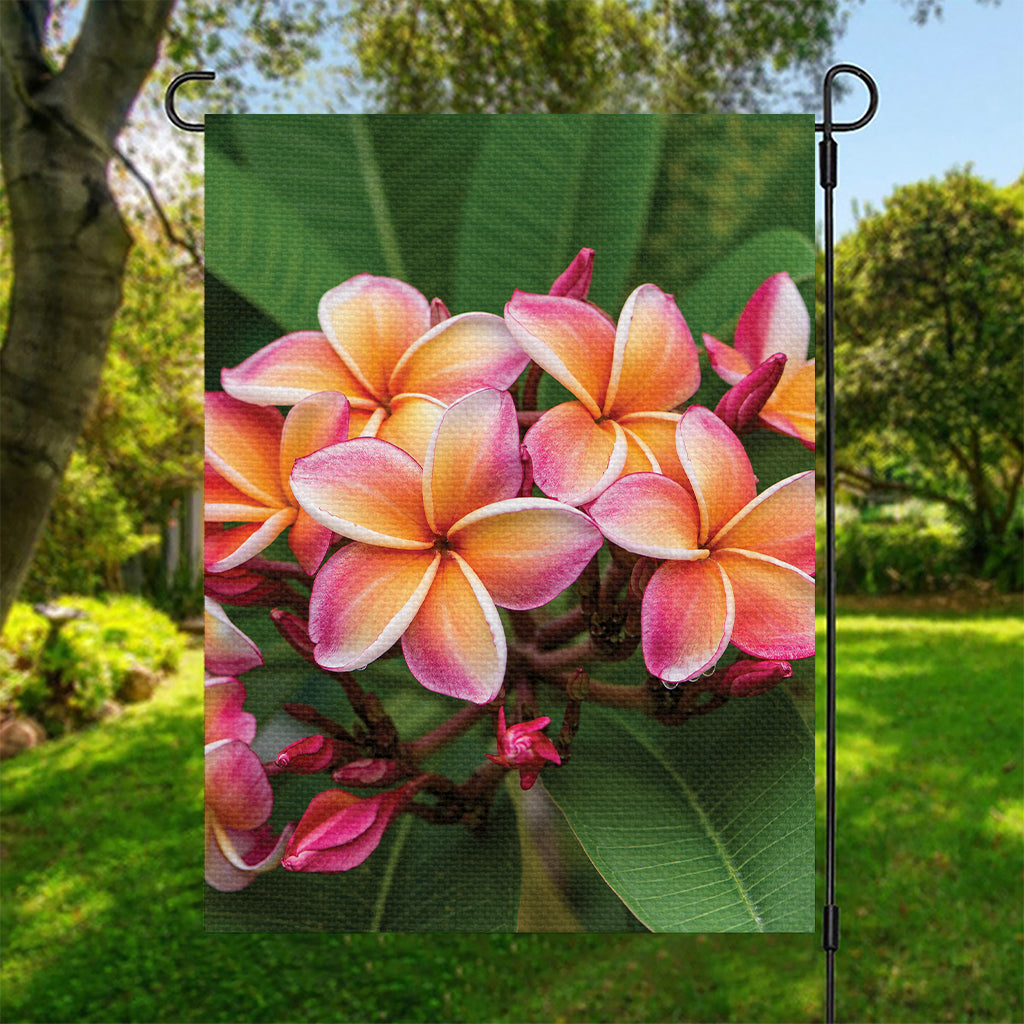 Pink And Yellow Plumeria Flower Print Garden Flag