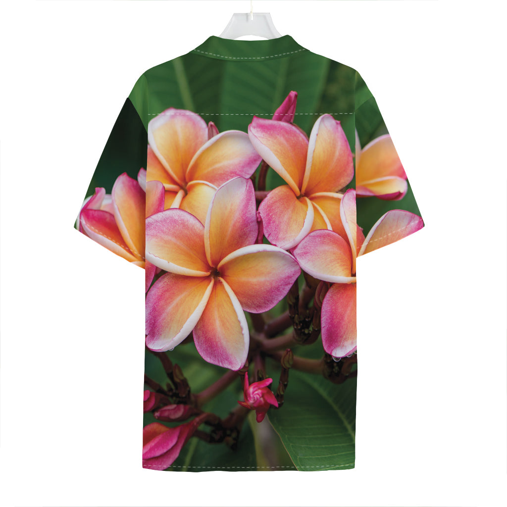 Pink And Yellow Plumeria Flower Print Hawaiian Shirt