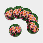 Pink And Yellow Plumeria Flower Print Leather Coaster Set
