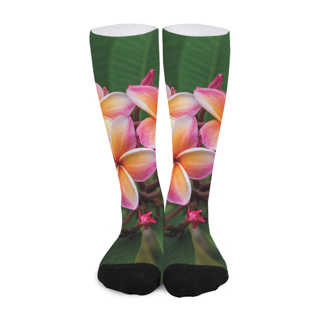 Pink And Yellow Plumeria Flower Print Long Socks