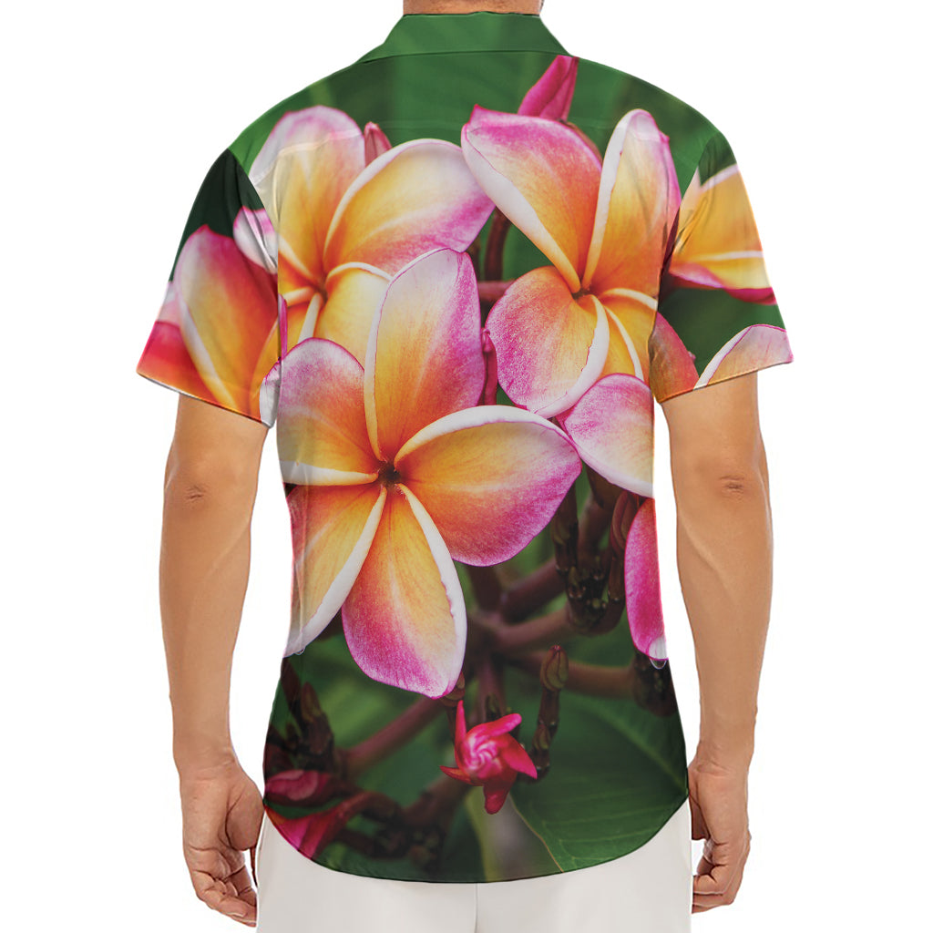 Pink And Yellow Plumeria Flower Print Men's Deep V-Neck Shirt
