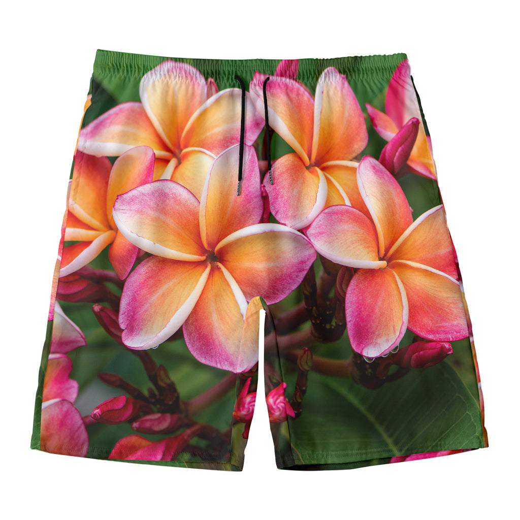 Pink And Yellow Plumeria Flower Print Men's Swim Trunks