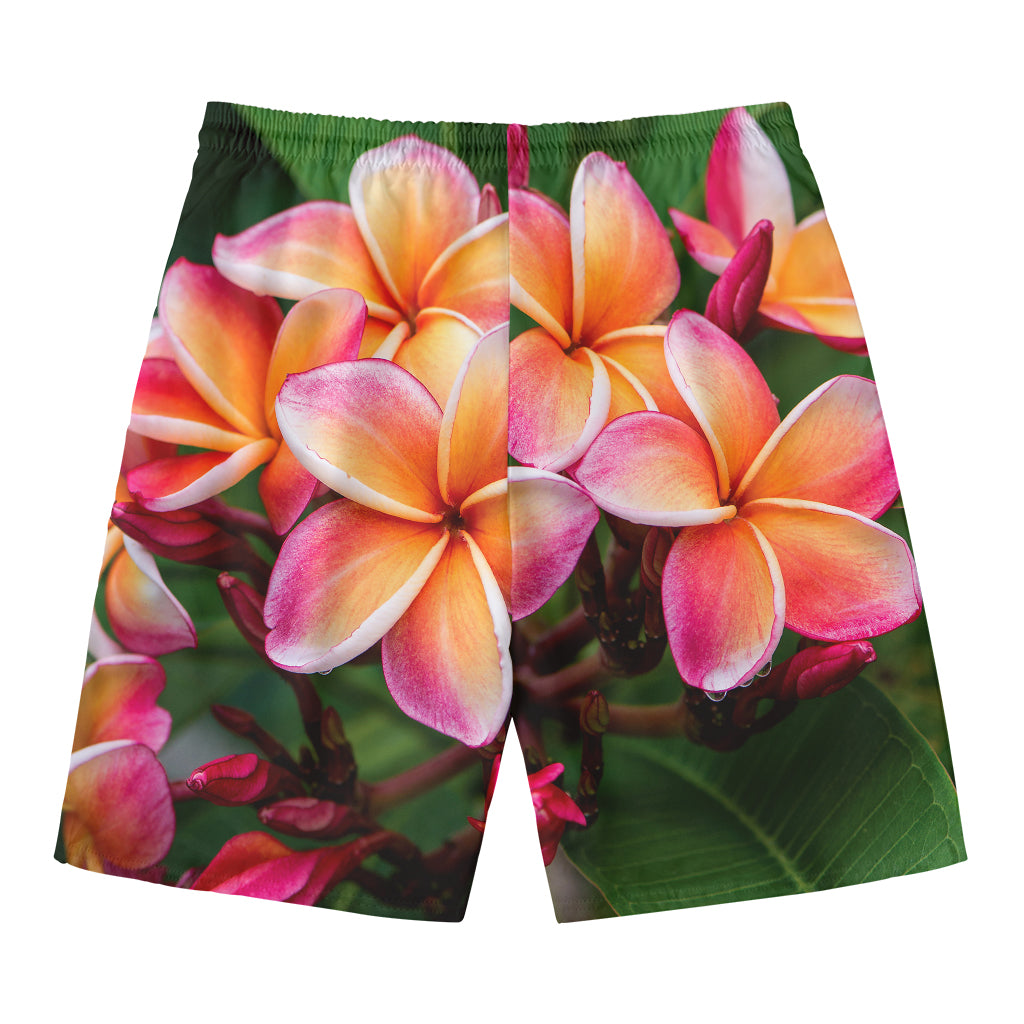Pink And Yellow Plumeria Flower Print Men's Swim Trunks