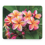 Pink And Yellow Plumeria Flower Print Mouse Pad