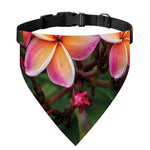 Pink And Yellow Plumeria Flower Print Over The Collar Dog Bandana