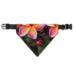 Pink And Yellow Plumeria Flower Print Over The Collar Dog Bandana