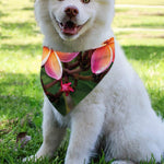 Pink And Yellow Plumeria Flower Print Over The Collar Dog Bandana