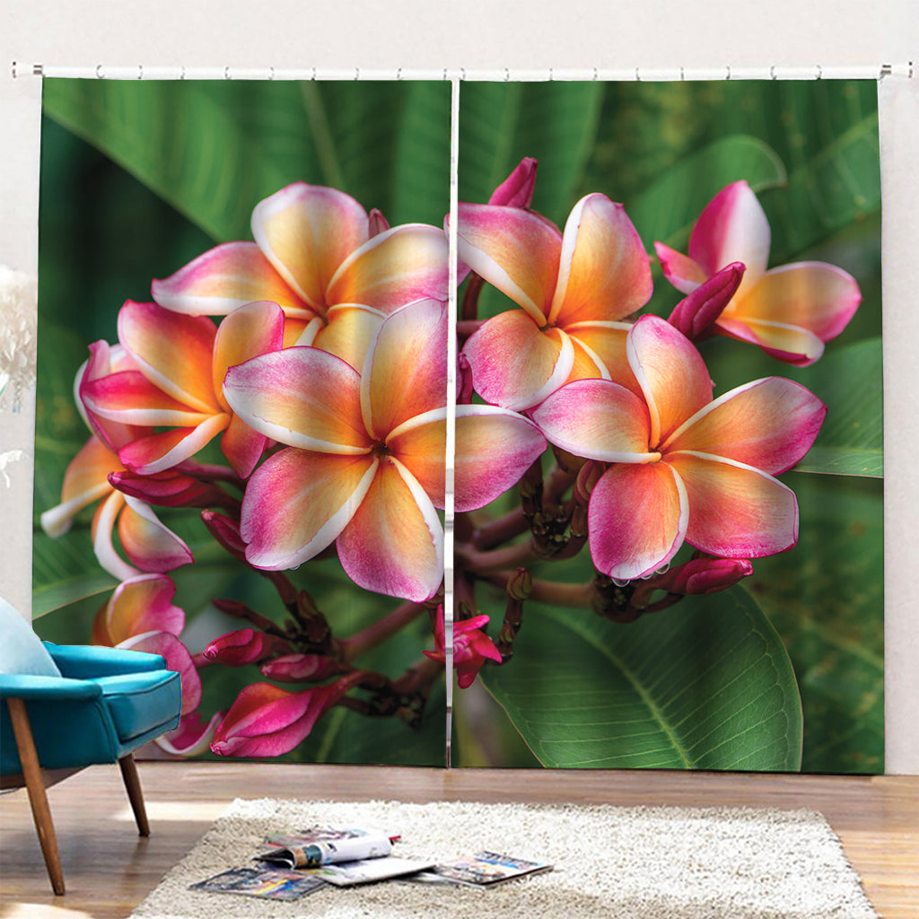 Pink And Yellow Plumeria Flower Print Pencil Pleat Curtains