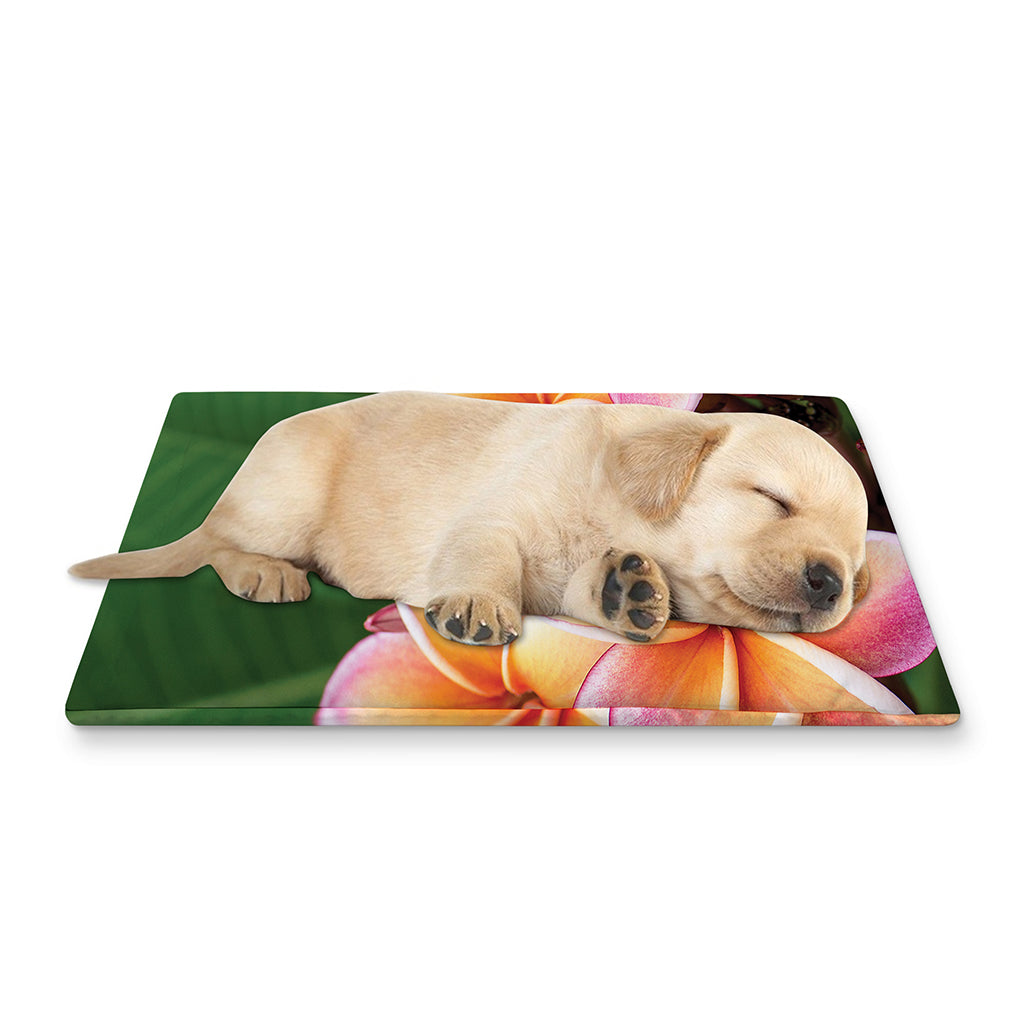 Pink And Yellow Plumeria Flower Print Pet Cooling Mat Cover