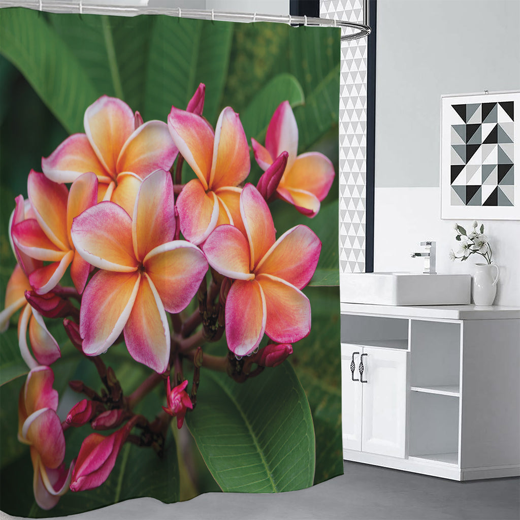 Pink And Yellow Plumeria Flower Print Premium Shower Curtain