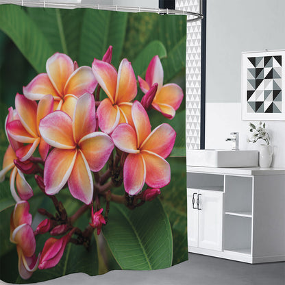 Pink And Yellow Plumeria Flower Print Premium Shower Curtain