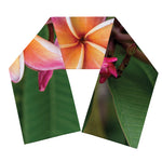 Pink And Yellow Plumeria Flower Print Scarf