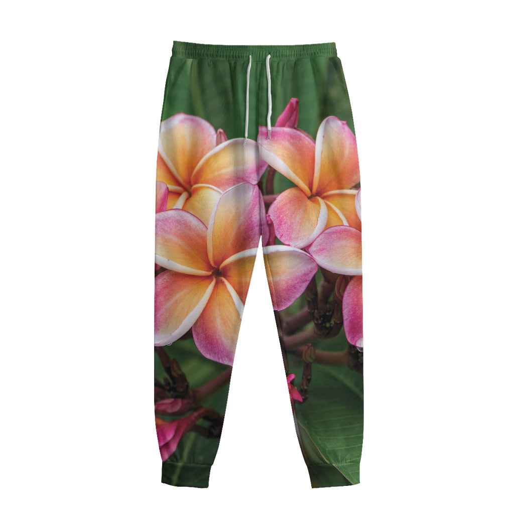 Pink And Yellow Plumeria Flower Print Sweatpants