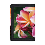 Pink And Yellow Plumeria Flower Print Trifold Wallet