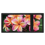 Pink And Yellow Plumeria Flower Print Trifold Wallet