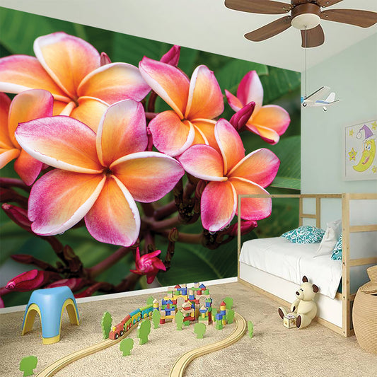 Pink And Yellow Plumeria Flower Print Wall Sticker