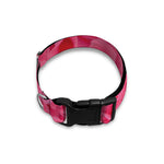 Pink Carnation Flower Print Dog Collar